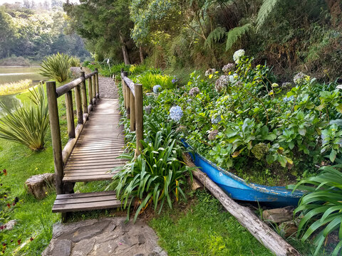 wooden bridge in the garden of parque arvi