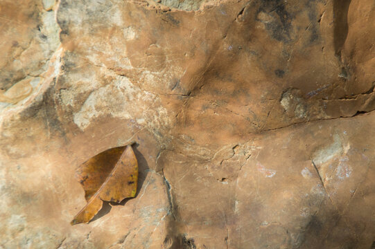 texture of stone