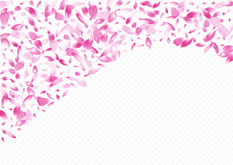 Light Sakura Vector Transparent Background. Petal Wedding Illustration. Confetti Romance Backdrop. Leaf Invitation Congratulation. White Apple 3d Design.