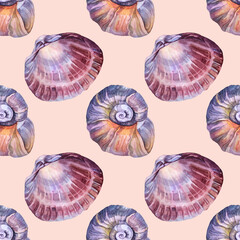 Seamless pattern watercolor blue brown spiral sea shell with pearl on pink background. Hand-drawn nature realistic object for celebration, stationery, card, wallpaper, textile, wrapping, florist