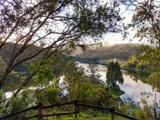 reflection of trees in the lake