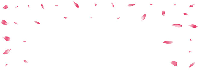 Fototapeta na wymiar White Flower Petal Vector White Background. Pastel Beauty Rose Petal Product. Lotus Petal Flying Card. Fly Peach Petal Template.