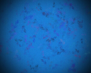 abstract colorful watercolor acrylic fractal grunge image illustration paint background bg texture wallpaper art frame sample board blank material