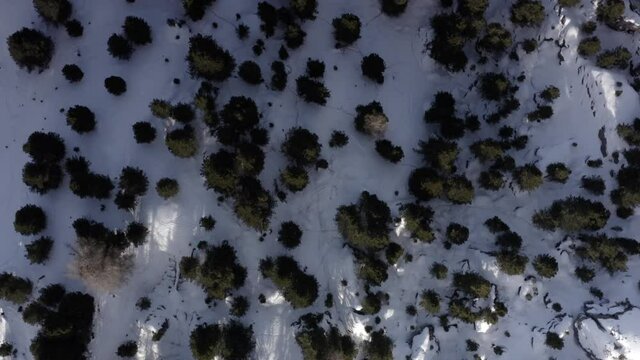 Aerial flight adove Alp Mountains and forest 
High mountain peaks sharp cliffs Dolomites, Italy
Drone view  from Italy Top Peaks 

