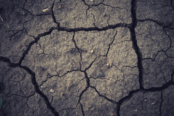 Deep cracks in the ground. The dry ground cracked.