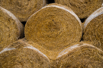 Rolled up haystacks stacked on top of each other texture or background