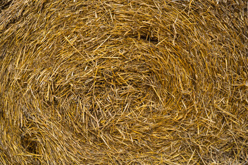 Hay rolled into a stack texture or background