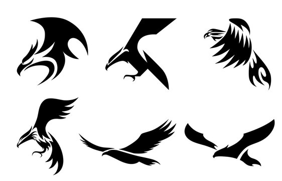 Set of six line art vector logo of eagle. Can be used as a logo Or decorative items..