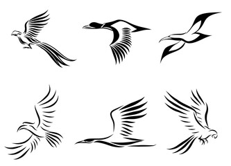 Set of six vector images of various birds flying such as pheasant seagull mallard crane hornbill and macaw Good use for symbol mascot icon avatar and logo - obrazy, fototapety, plakaty