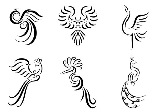 Set of six line art vector images of various beautiful birds such as pheasant peacock crane Phoenix and eagle Good use for symbol mascot icon avatar and logo
