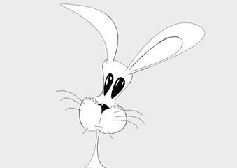 Hase