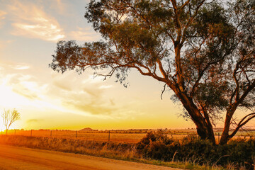 Vibrant country scene at sunset featuring dirt road in rural Australian landscape with Pyramid Hill visible in the distance