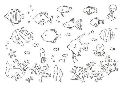いろんな熱帯魚とサンゴの手描きイラストセット（モノクロ）