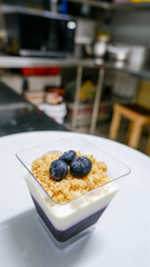 delicious blueberry panacotta dessert