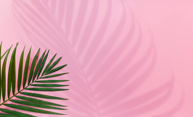 Tropical leaves is placed on a pink background with part of the leaf layout and copy space.