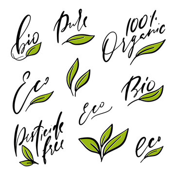 Organic, pesticide free food and bio, eco, pure product isolated vector clipart collection for business logo or healthy natural meal labels. Calligraphy and green leaf images design set for packaging.