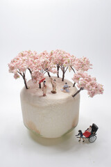 a fun of mini figure Rickshaw at Cherry blossoms