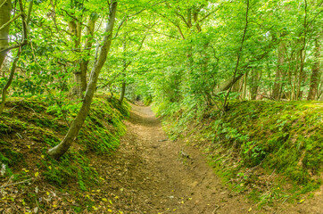 Sunken pathway in Surrey England 