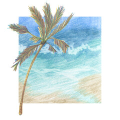 Summer arrangement with tropical palm tree and background of marine and sand texture is made with colored pencils.  Hand drawn.
