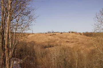 natural background landscape early spring blue sky and yellow field