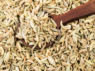 spoon on pile of Fennel fruits closeup