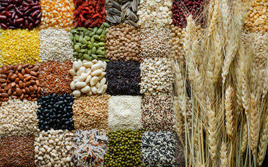 Group of dry wheat put on variety kinds of natural organic cereal and grain seed background, for...