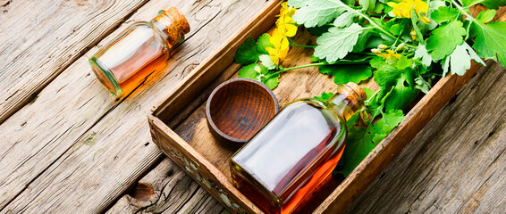 Medicinal tincture of celandine,herbal medicine.