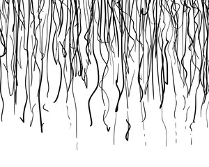 Fototapeta premium Scribble