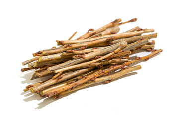 cut currant twigs close-up on a white background