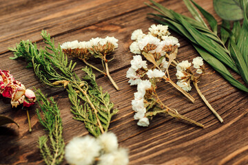 Herbarium. Dry herbs and flowers on a background from wooden boards. Rose, eucalyptus, palm.