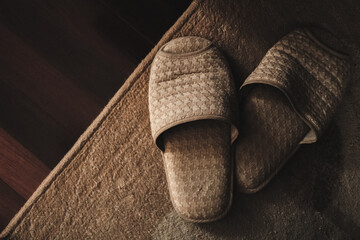 Home slipper on the carpet. comfortable indoor shoe. Film grain effect. Stay in the house.