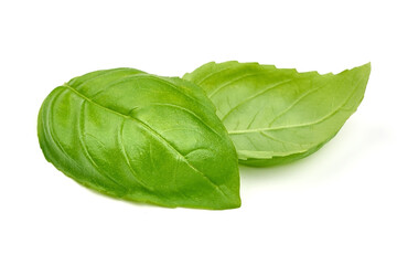 Basil leaves, isolated on a white background. High resolution image.