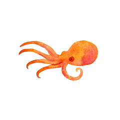 Orange octopus. Watercolor illustration. Sea creature, animal. 