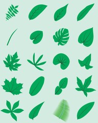 assorted leaf vector design