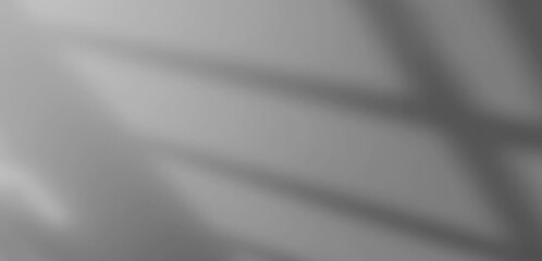 Abstract Blurred background, white-gray background with reflective walls For the design and layout of the book as wallpaper, computer screen background	
