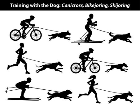 Training Exercising with dog: canicross, bikejoring, skijoring silhouettes set