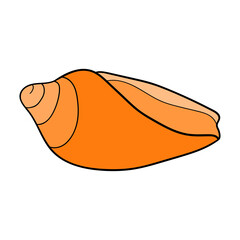 Hand-drawn cone shell of engraved line. Design element for invitations, greeting cards, posters, banners, flyers and more.  Vector colorful illustration isolated on white background.