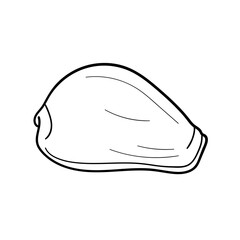 Fototapeta premium Hand-drawn cowry shell of engraved line. Design element for invitations, greeting cards, posters, banners, flyers and more. Vector illustration isolated on white background.