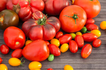 different varieties of ripe red and yellow appetizing tomatoes