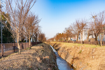 玉川上水