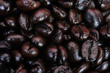 coffee beans background