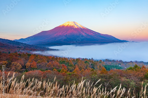 朝日に照らされた富士山と雲海に覆われた山中湖 山梨県南都留郡山中湖村パノラマ台にて Wall Mural Photop5