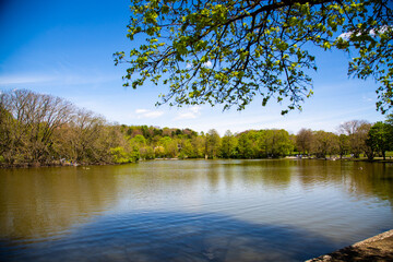 Fototapeta na wymiar lake in westpark, springtime in munich