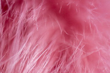 pink background made from soft fur macro shot 