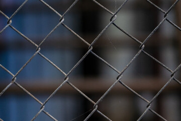 link fence with blurred background