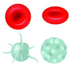 A set of blood cells. Platelets, erythrocytes, lymphocytes. Vector illustration.