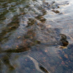 Detail from creek, shallow rapid water current flow over gravel bottom