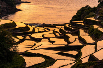 Hanamanoura Tanada, sunset on the rice field, kyushu, japan