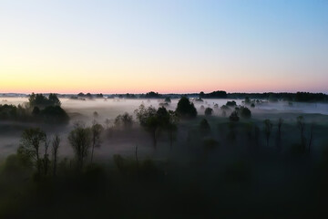 evening fog landscape forest river, view morning forest beautiful background