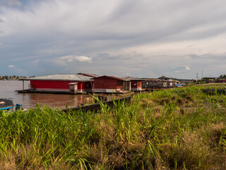 amazonia